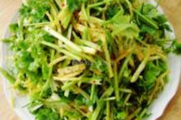 土豆丝拌香菜的做法图解6