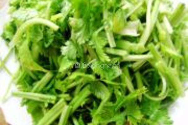 土豆丝拌香菜的做法图解2