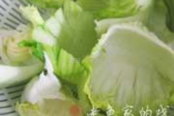 蚝油浸芥菜的做法图解2