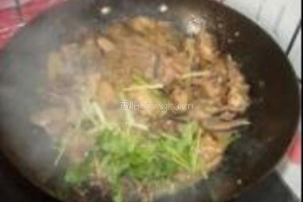 小鸡炖蘑菇的做法图解17