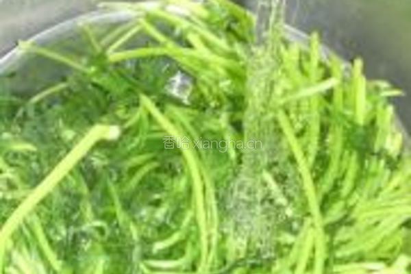蒜蓉茼蒿的做法图解2
