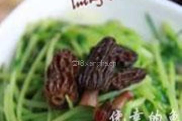 羊肚菌浓汤煨豆苗的做法图解4
