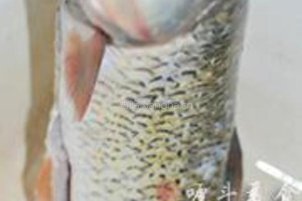 烩炸鱼块的做法图解1