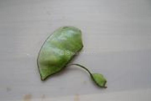 酱爆扁豆的做法图解2