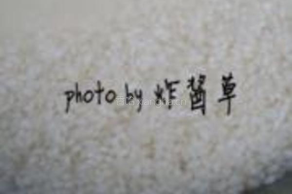 蜜枣花生粽的做法图解1