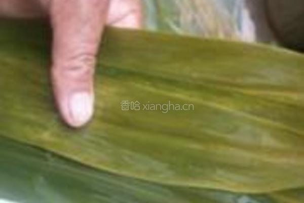 蜜枣花生粽的做法图解4