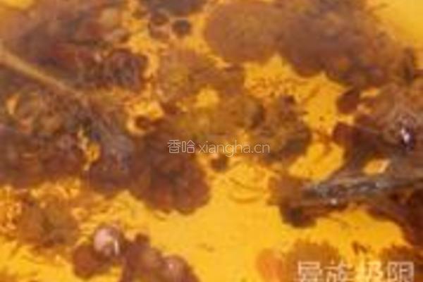 杭菊枇杷花饮的做法图解3