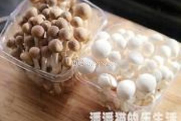 茨菰炖咸鸭的做法图解7