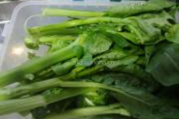 盐油菜心的做法图解1