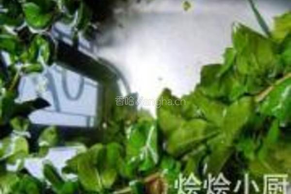 枸杞叶猪肝汤的做法图解4