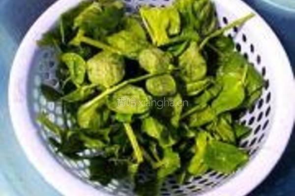 豌豆苗烩豆腐的做法图解4