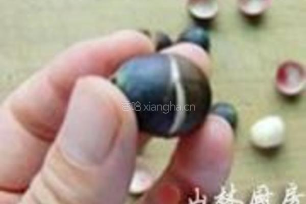 莲子心茶的做法图解1