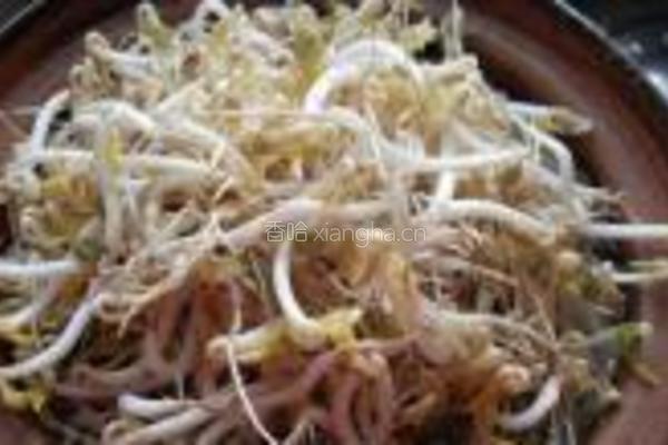 砂锅生绿豆芽的做法图解10