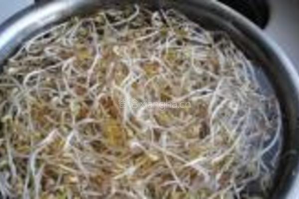 砂锅生绿豆芽的做法图解14