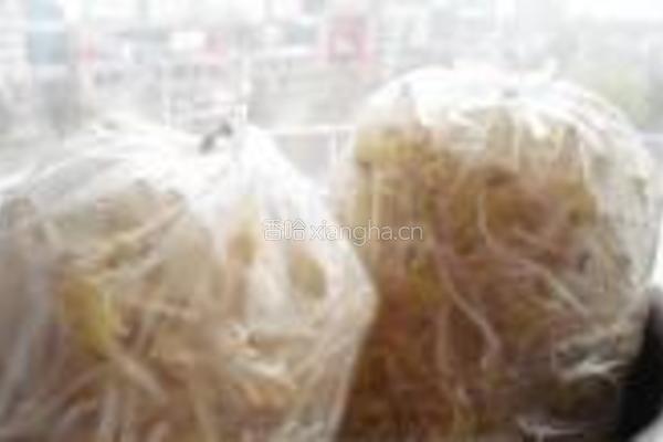 砂锅生绿豆芽的做法图解15