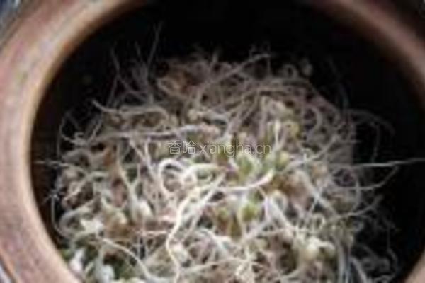 砂锅生绿豆芽的做法图解7