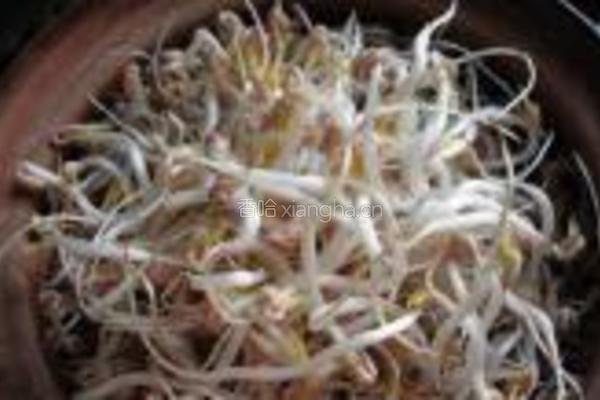 砂锅生绿豆芽的做法图解9