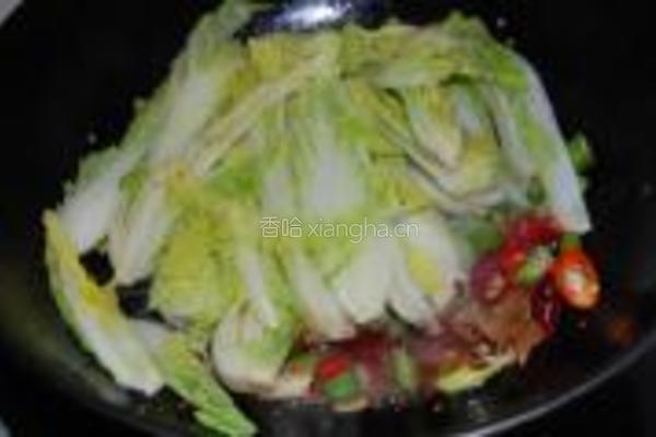 干锅娃娃菜的做法图解4
