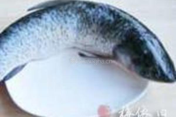 粉皮鱼块煲的做法图解1