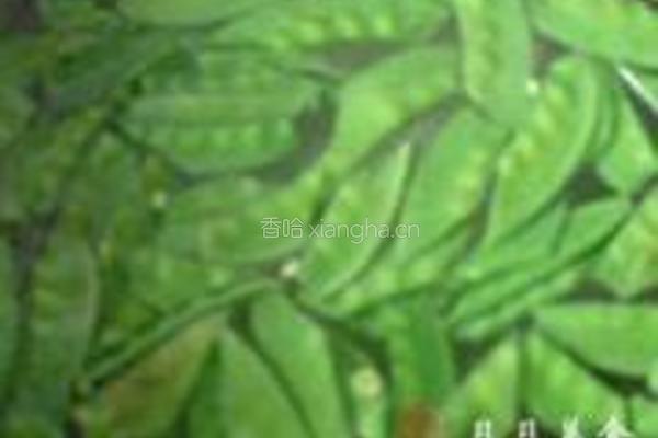 荷兰豆炒胡萝卜的做法图解3