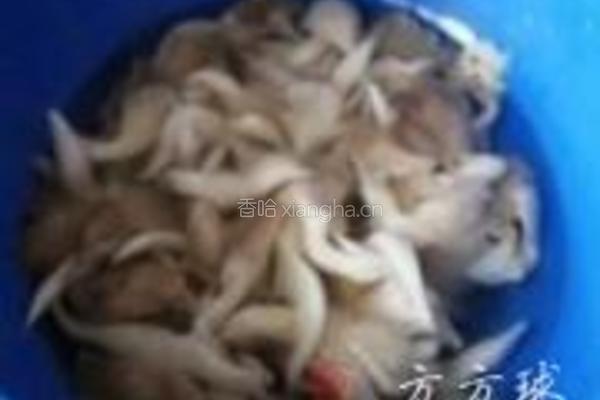 平菇炒鲜蔬的做法图解2