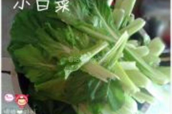 小白菜排骨酱汤的做法图解4
