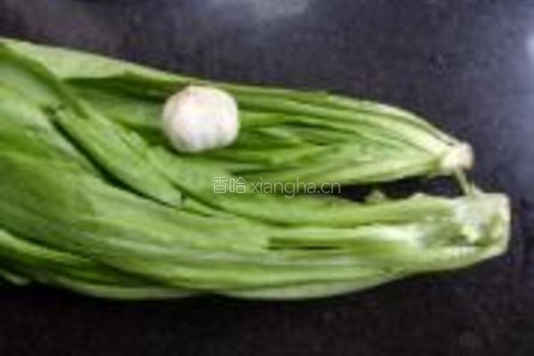 蒜香油麦菜的做法图解1