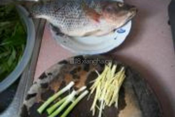 清蒸福寿鱼的做法图解1