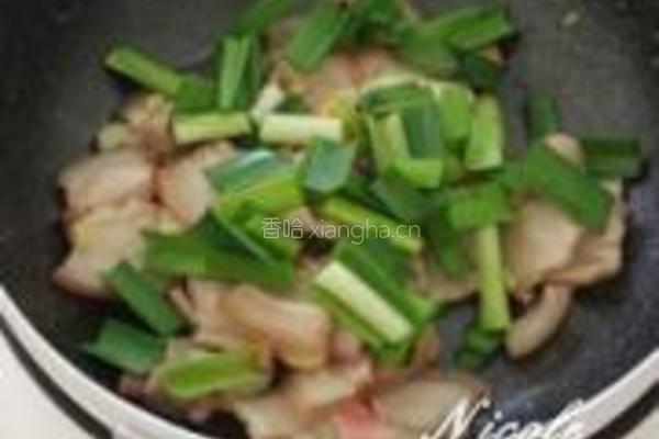 农家小炒肉的做法图解4