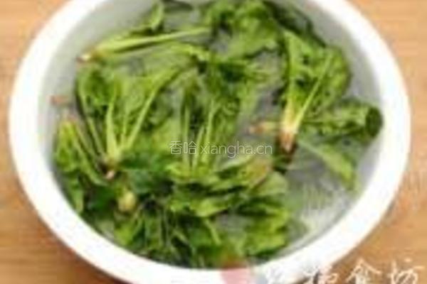 姜汁菠菜卷的做法图解1