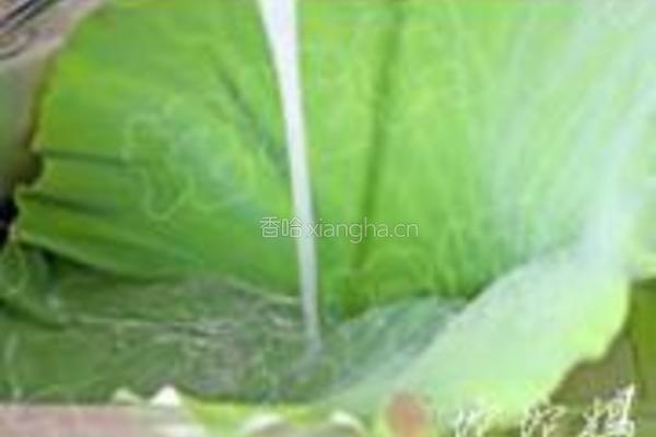 荷香糯米蒸排骨的做法图解1
