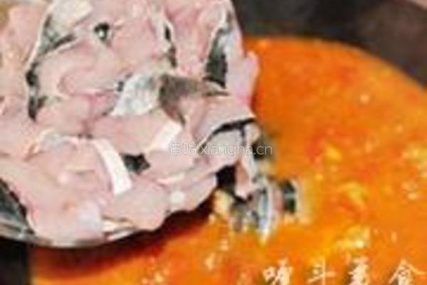 番茄鱼火锅的做法图解8