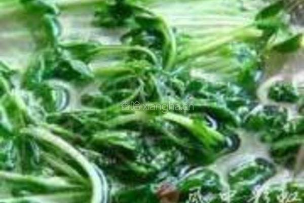 简易鸡翅汤的做法图解8