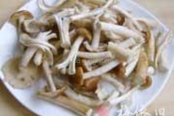 茭白茶树菇的做法图解2