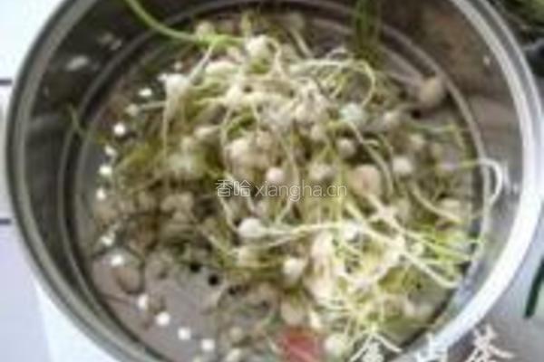 小根蒜盒子的做法图解1