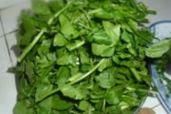 西洋菜牛肉丸汤的做法图解2