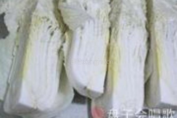 韩式泡菜的做法图解1