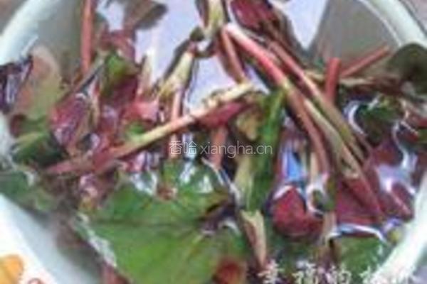 凉拌鱼腥草叶的做法图解1