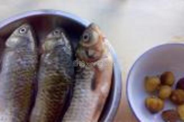 青红萝卜牛蒡汤的做法图解3
