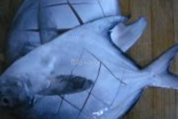 清蒸鲳鱼的做法图解1