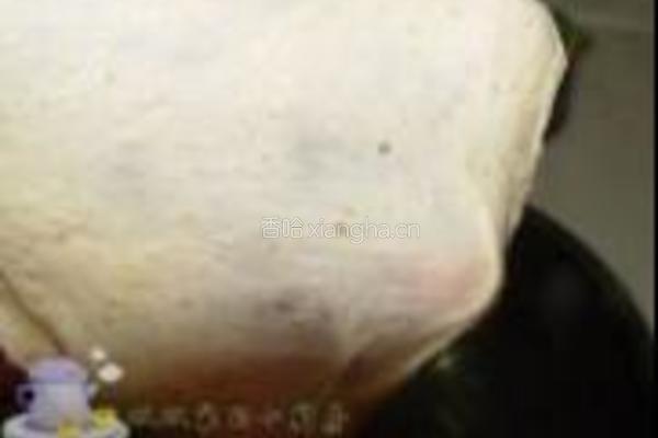 中种法小麦胚芽土司的做法图解5