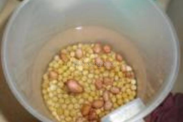 核桃花生豆浆的做法图解1