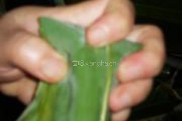 蜜枣粽子的做法图解7