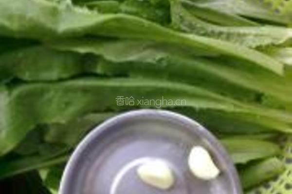 蒜蓉油麦菜的做法图解1