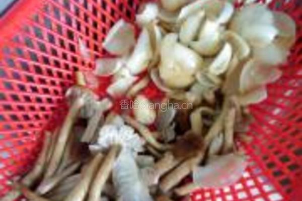 营养杂菜煲的做法图解3