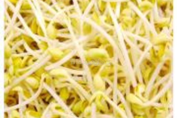 黄豆芽拌饭的做法图解8