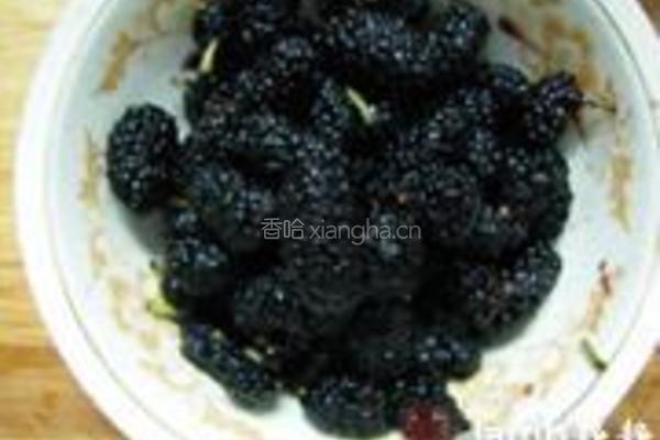 桑葚派的做法图解12