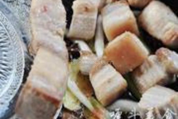 毛氏红烧肉的做法图解6