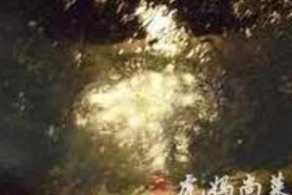 芦蒿香干的做法图解3