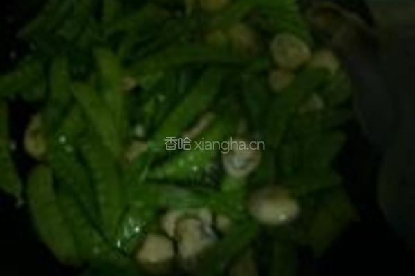草菇荷兰豆的做法图解7